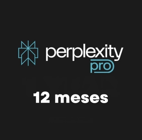 Perplexity Pro 12 Meses